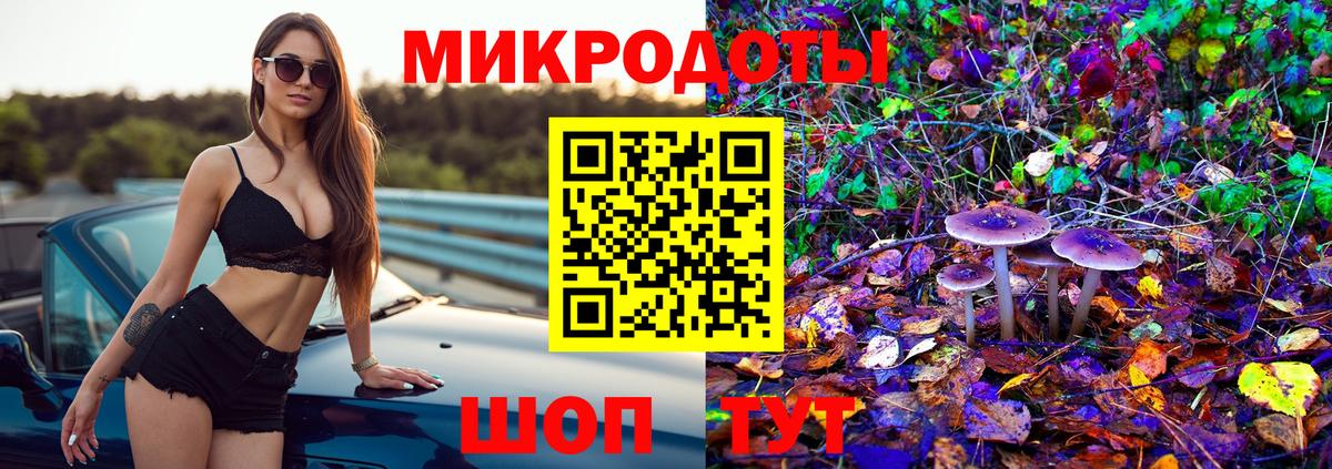 купить   Вход с VPN  Каменск-Шахтинский  Псилоцибиновые грибы Psilocybe 