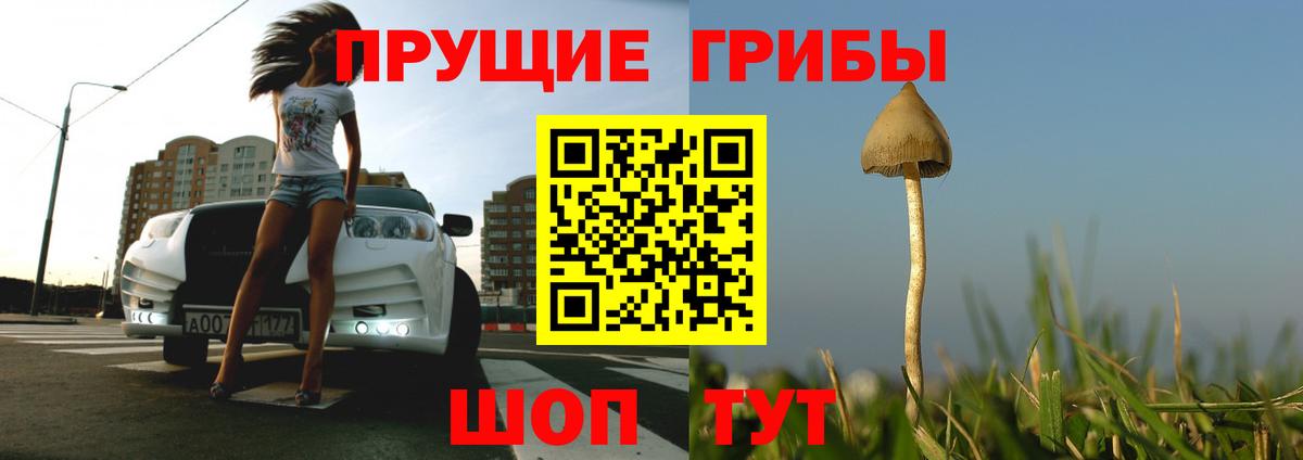 Псилоцибиновые грибы Psilocybine cubensis Каменск-Шахтинский